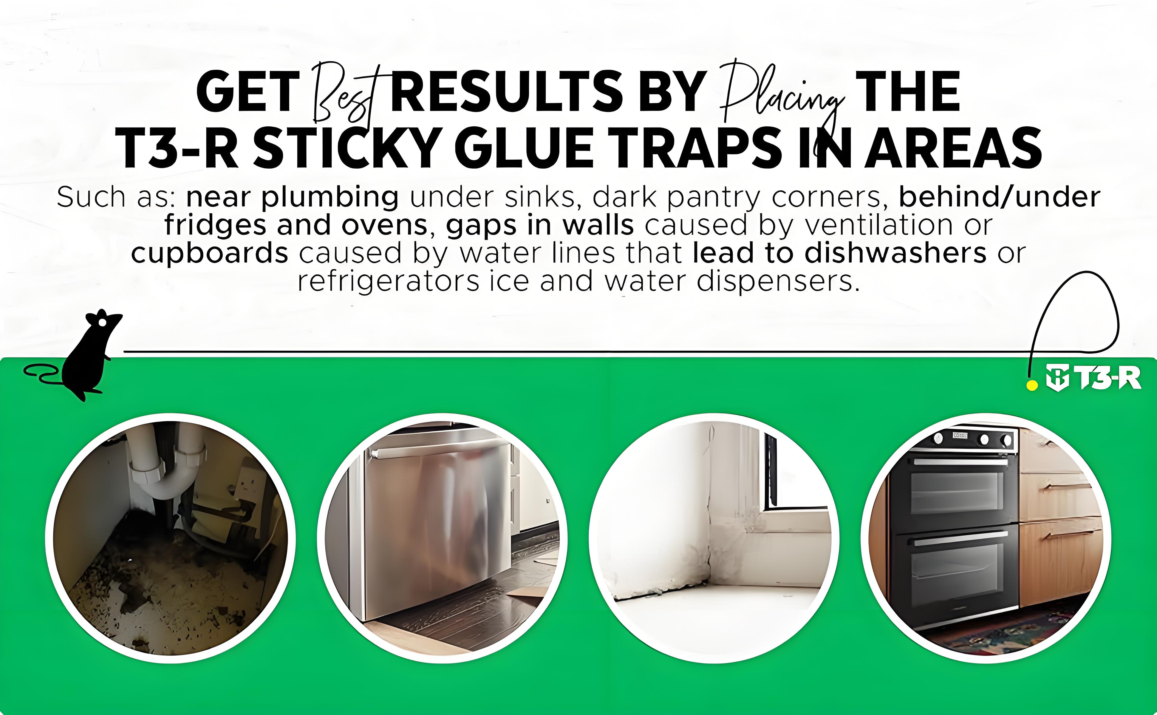 T3-R-get-best-results-by-placing-t3-r-in areas